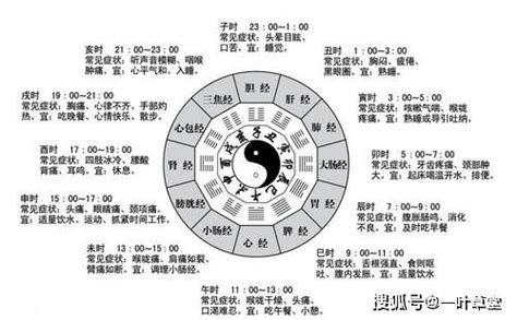 眼 跳 法|眼跳法 十二时辰左右眼跳吉凶查询